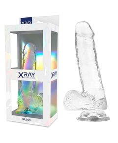 Dildo Realístico Transparente Xray