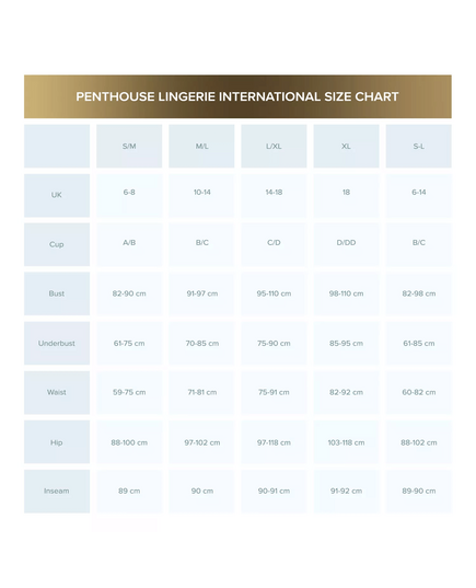 SIZE CHART PENTHOUSE LINGERIE